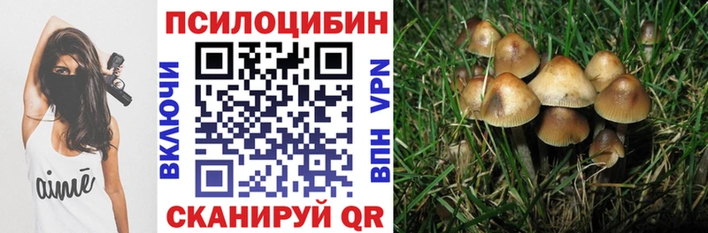Галлюциногенные грибы прущие грибы  Балтийск 